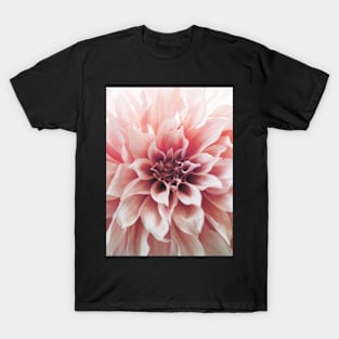 Flowers print, Pink, Pastel, Fashion print, Scandinavian art, Modern art, Wall art, Print, Minimalistic, Modern T-Shirt